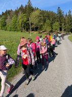 Wald_Jagderlebnis_VS_Fischbach_00001