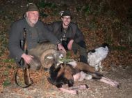 Der_Muffelwidder_vom_Buergerwald_1