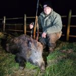 Wildschwein_-_Nistelberger_Hannes