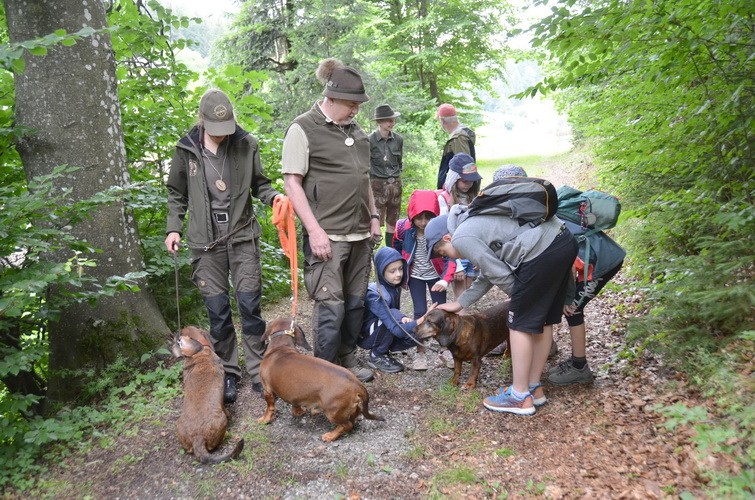 Jagd  Waldprojekttag Der VS Koglhof 003