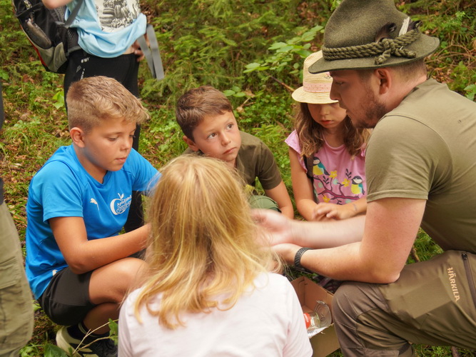 2023.08.01   010   Wald  Und Jagderlebnistag Mit Den Ferienkindern In Anger