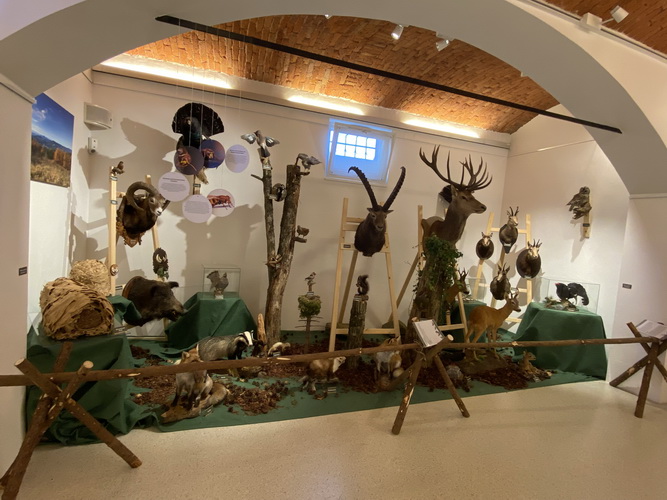 Ausstellung Gleisdorf 0008