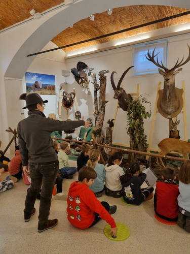 Ausstellung Gleisdorf 0013