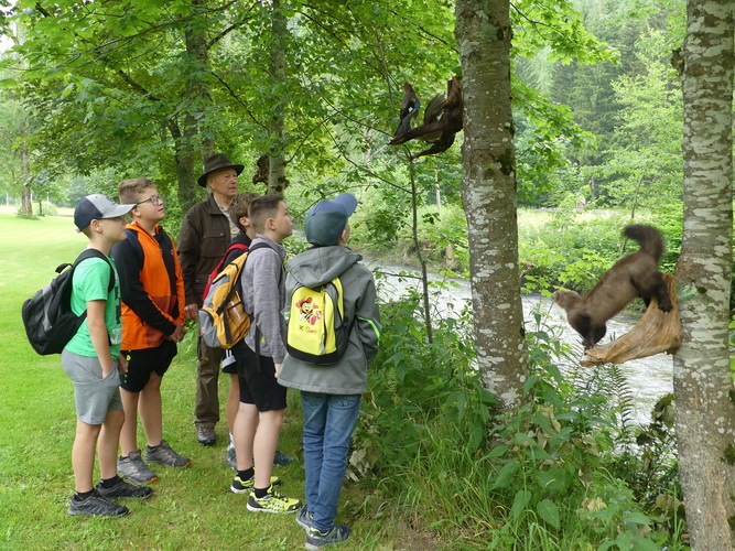 2024.06.14   0004   Wald Jagderlebnistag Ratten
