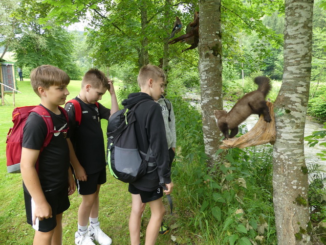 2024.06.14   0011   Wald Jagderlebnistag Ratten