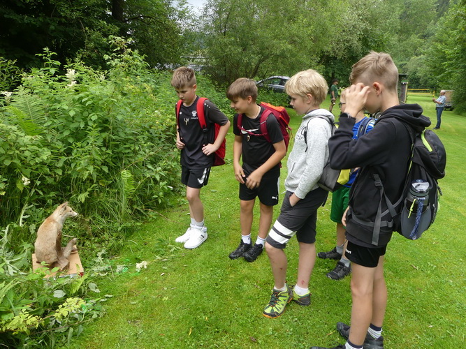 2024.06.14   0012   Wald Jagderlebnistag Ratten