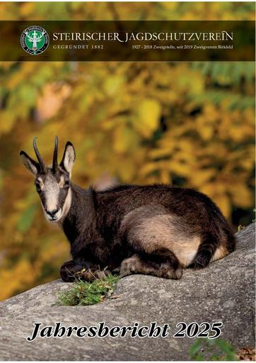 Jahresbericht 2025